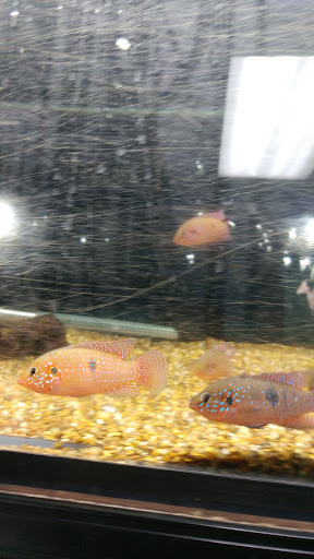 Pet Store «Valley Pets», reviews and photos, 6380 US-85, Fountain, CO 80817, USA