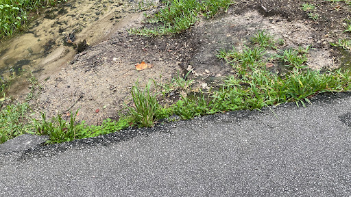 Park «North Charleston Wannamaker County Park», reviews and photos, 8888 University Blvd, North Charleston, SC 29406, USA