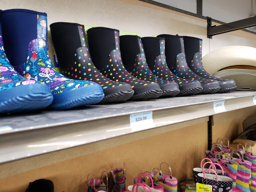 Home Improvement Store «Tractor Supply Co.», reviews and photos, 5431 Southern Maryland Blvd, Lothian, MD 20711, USA