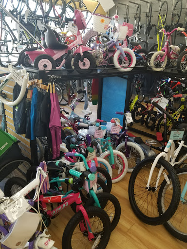 Bicycle Store «Mineola Bicycle, Fitness & Mower», reviews and photos, 475 Jericho Turnpike, Mineola, NY 11501, USA