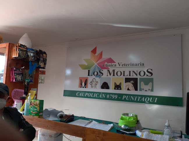Clinica Veterinaria Los Molinos - Punitaqui
