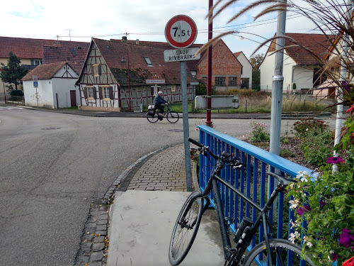 hôtels Auberge à la Fleur Scheibenhard