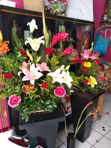 Floreria Gade