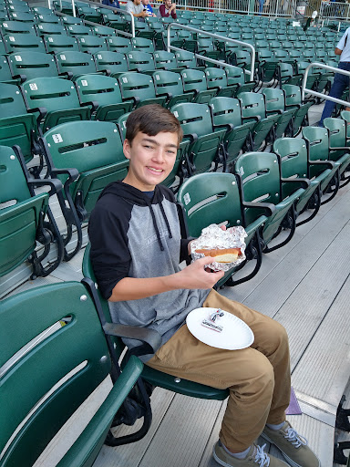 Baseball Field «Northeast Delta Dental Stadium», reviews and photos