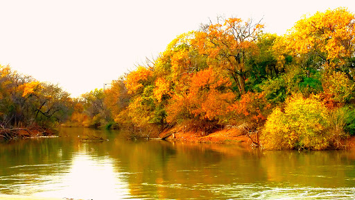 Park «California Crossing Park», reviews and photos, 5198 Riverside Dr, Irving, TX 75039, USA