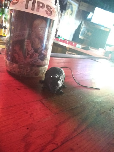 Live Music Venue «The Hole In the Wall», reviews and photos, 2538 Guadalupe St, Austin, TX 78705, USA