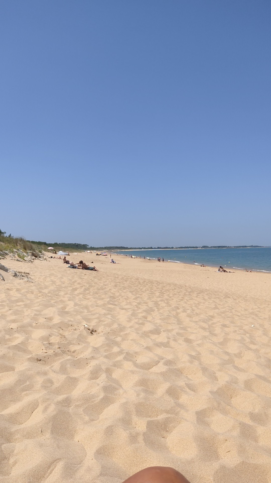 Photo n° 1 de l'avis de jeanmarc.e fait le 18/07/2021 à 12:18