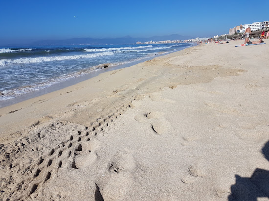 Playa de Palma II