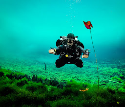 Koox Diving Playa del Carmen photo