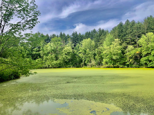 Nature preserve Akron