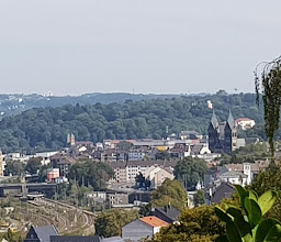 Gartenbauverein Dalster e.V. photo