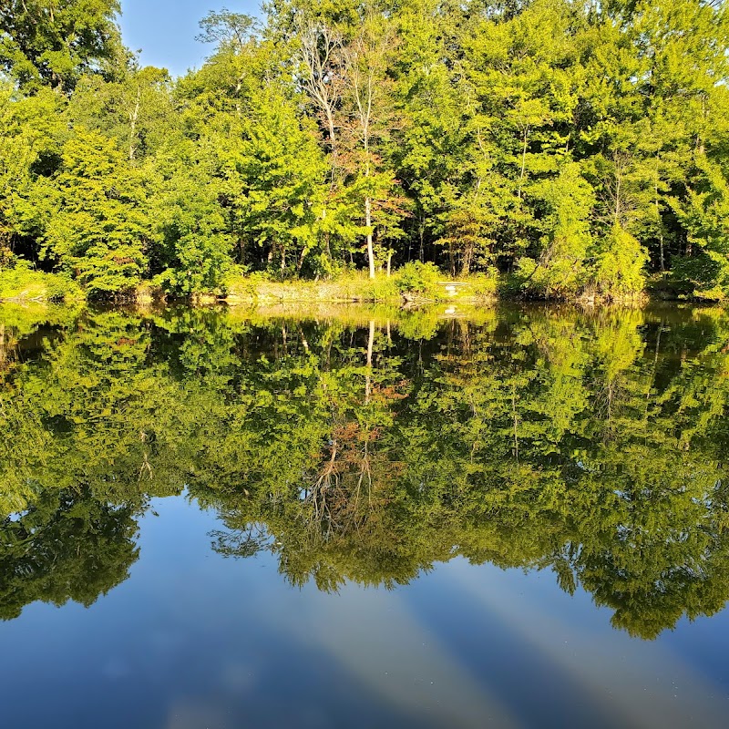 Wallace lake