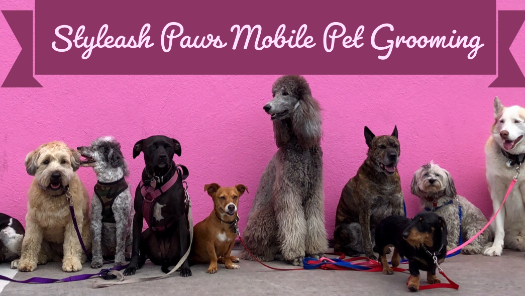 Styleash paws Mobile Pet Grooming