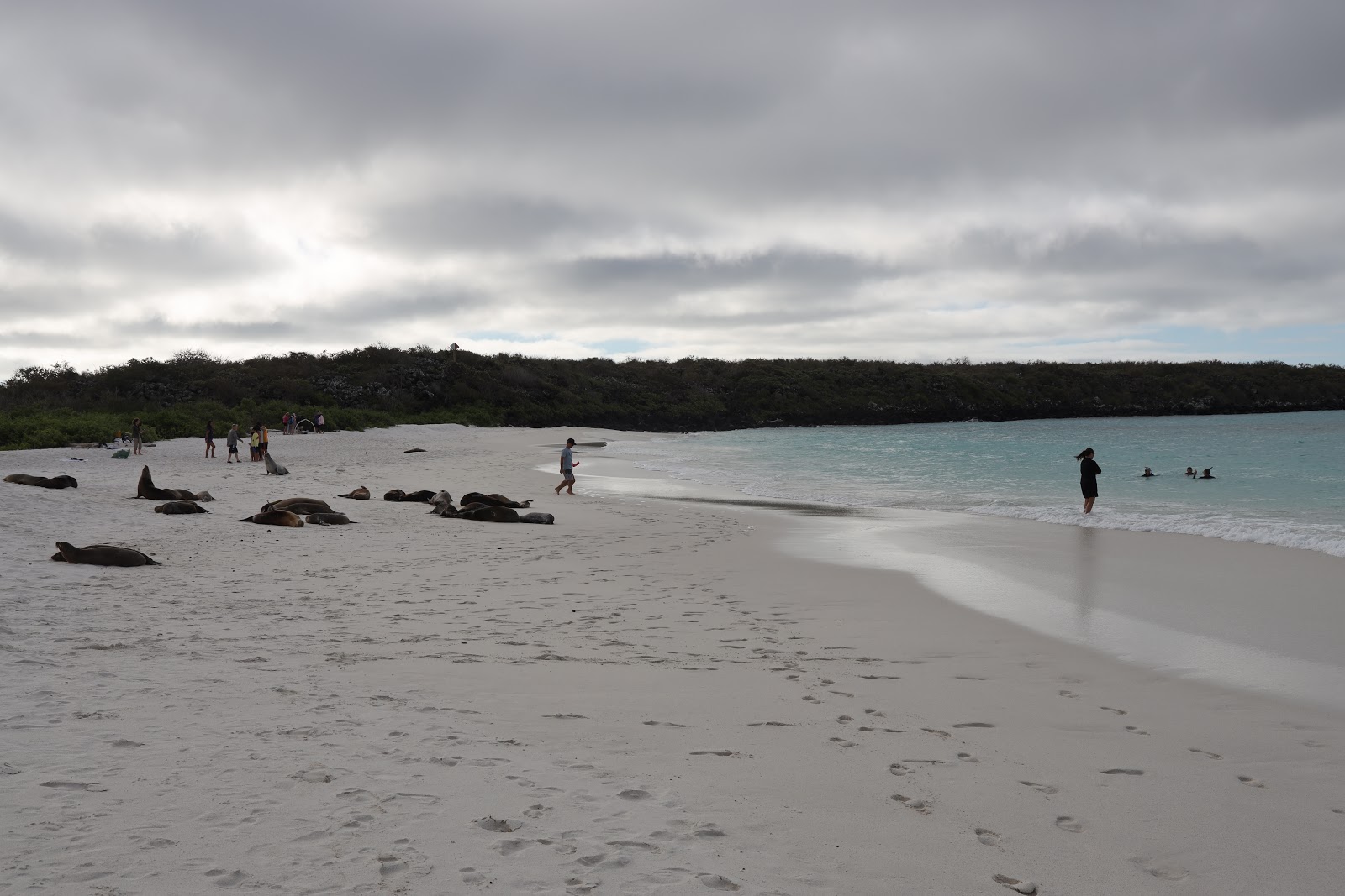 Foto af Bahia Gardner og dens smukke landskab