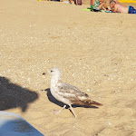 Photo n°1 de l'avis de Teresa.i fait le 09/07/2019 à 15:20 sur le  Quinta Pedra dos Bicos à Albufeira