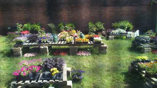 Florist «DeMuth Florist», reviews and photos, 302 Pittsburgh St, Connellsville, PA 15425, USA