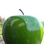 Photo n° 7 de l'avis de monique.o fait le 22/08/2019 à 21:13 pour La Maison de Celou à Châteauneuf-de-Gadagne