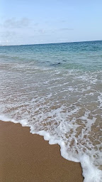 Photo n°55 de La Barbade à La Baule-Escoublac ()
