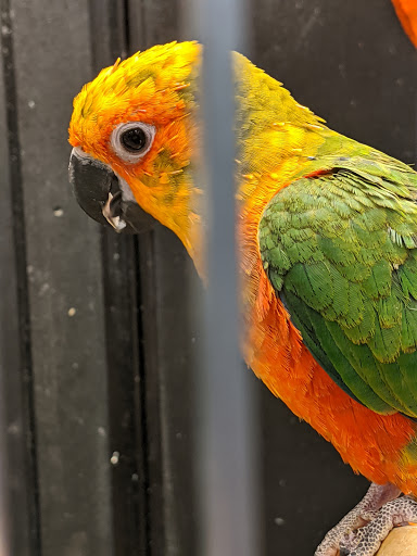 Pet Supply Store «PetSmart», reviews and photos, 5709 Liberty Grove Rd, Rowlett, TX 75089, USA