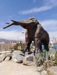 Escultura Mamut