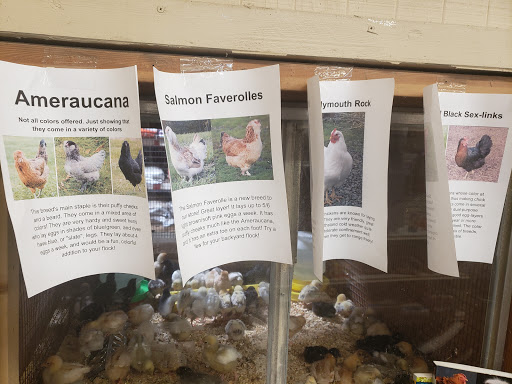 Pet Supply Store «Western Feed & Pet Supply», reviews and photos, 5935 Don Way, Carmichael, CA 95608, USA