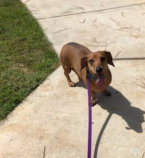 Park «Medal of Honor Park», reviews and photos, 1711 Hillcrest Rd, Mobile, AL 36609, USA