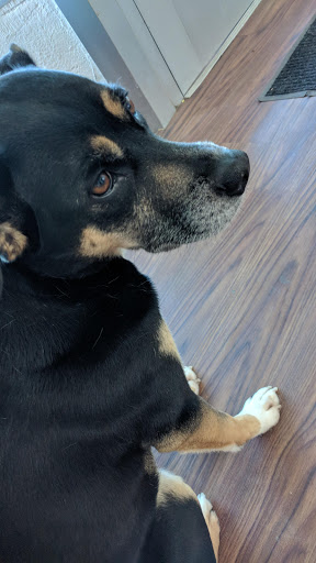 Mobile Phone Repair Shop «Bridgetown Electronics Repair», reviews and photos, 5020 SE Division St, Portland, OR 97206, USA