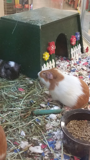 Pet Supply Store «PetSmart», reviews and photos, 215 N Burkhardt Rd, Evansville, IN 47715, USA