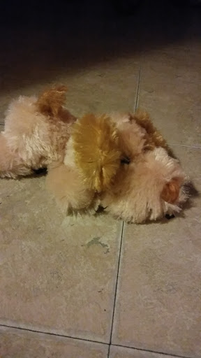 Pet Supply Store «Red Dog Hound & Pet Supply», reviews and photos, 3017 S Sheridan Rd, Tulsa, OK 74129, USA