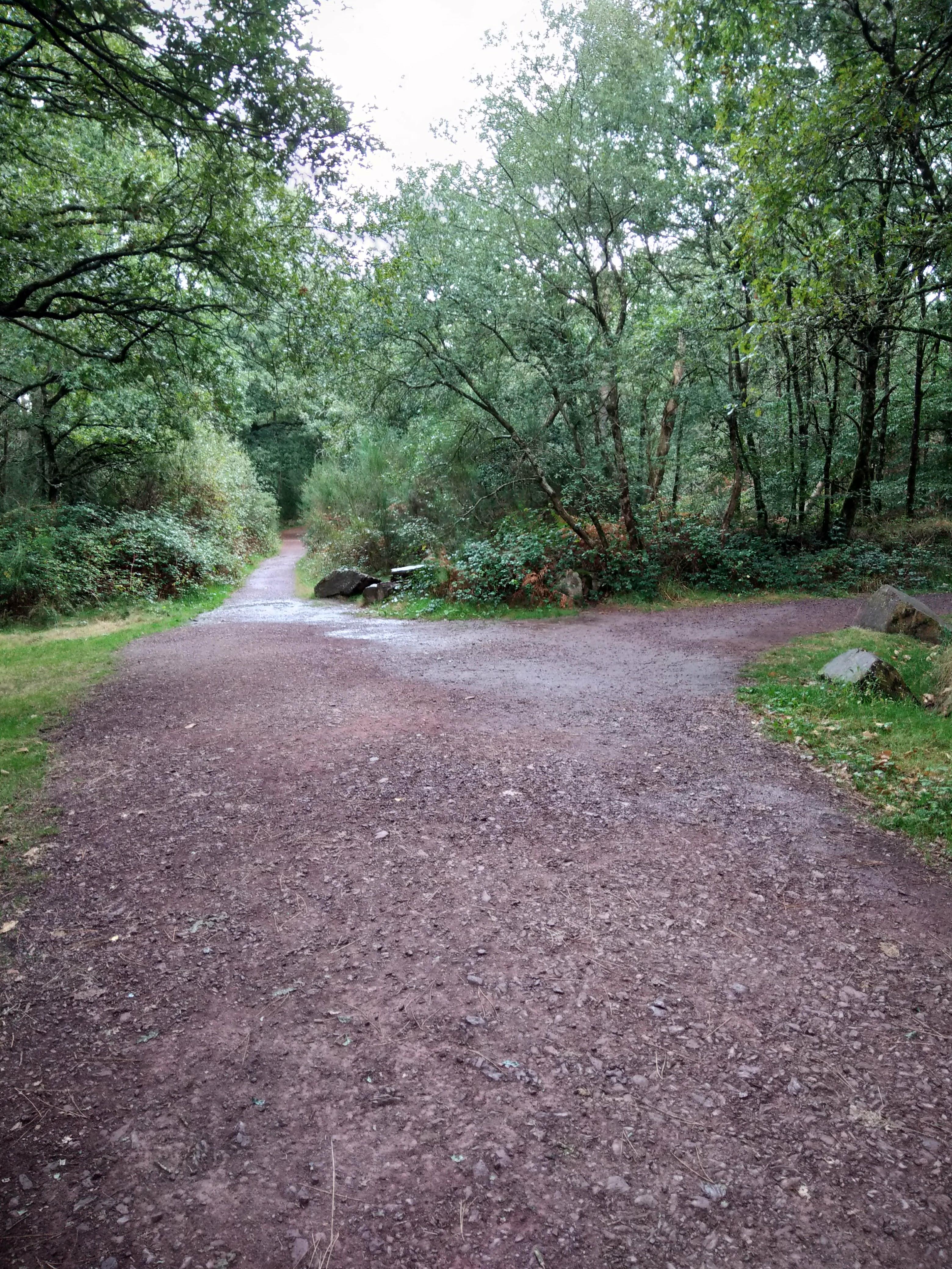 Photo n° 2 de l'avis de HUGO.A fait le 20/09/2020 à 12:15