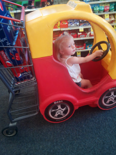 Grocery Store «Save-A-Lot», reviews and photos, 2021 George Jenkins Blvd #9a, Lakeland, FL 33815, USA