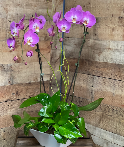 Florist «City of Flowers», reviews and photos, 215 Moffett Blvd, Mountain View, CA 94043, USA