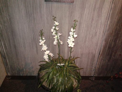 Natural History Museum «Florida Museum of Natural History», reviews and photos, 3215 Hull Rd, Gainesville, FL 32611, USA