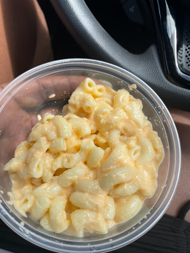 Park «MacFarlane Park», reviews and photos, 1700 N Macdill Ave, Tampa, FL 33607, USA