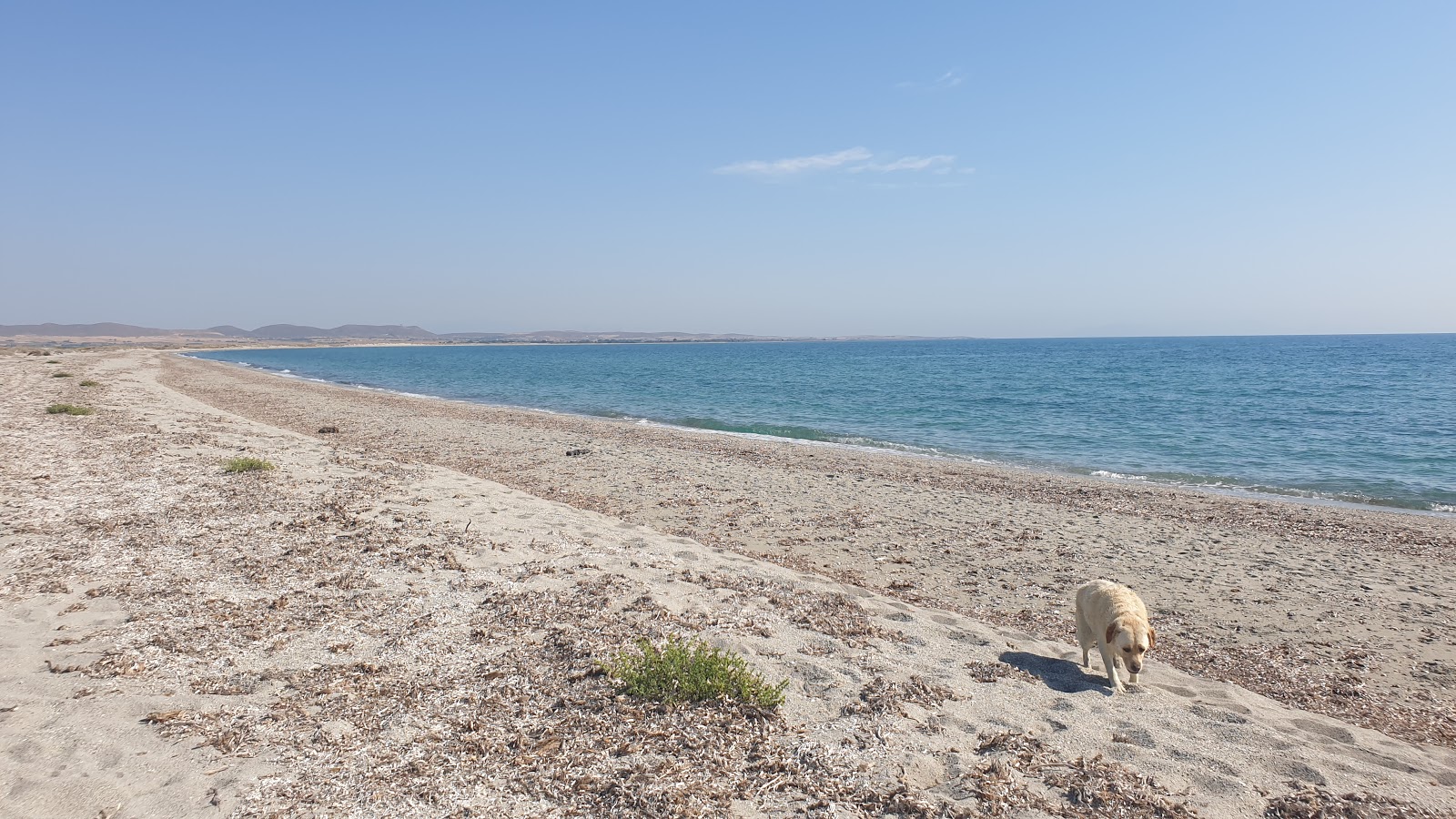 Foto av Aliki beach med turkos rent vatten yta