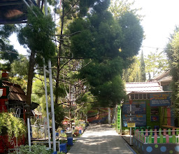Kampoeng Tulip photo