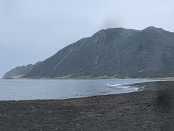 Zdjęcie White Rock Beach położony w naturalnym obszarze