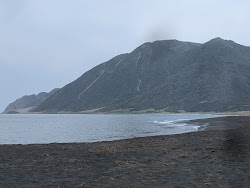 White Rock Beach'in fotoğrafı uçurumlarla desteklenmiş