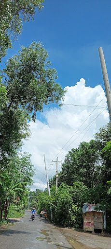 Stadium «Forest Hills Stadium», reviews and photos, 1 Tennis Pl, Forest Hills, NY 11375, USA