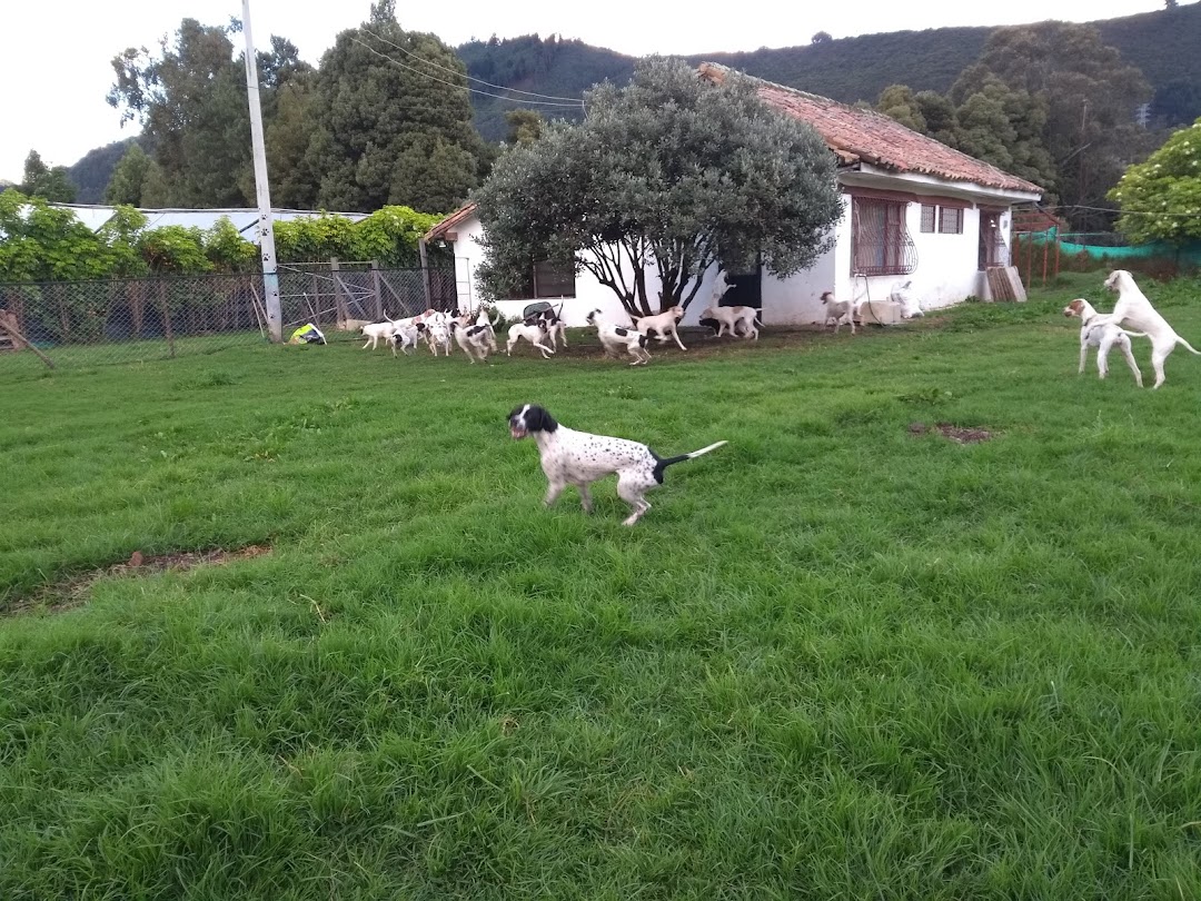 Pointers of MuShRooM CouNtY