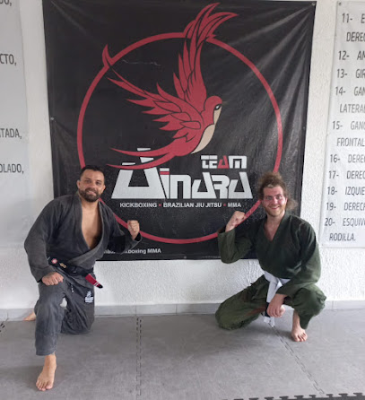 AINARA TEAM BJJ,MMA,KICKBOXING - Av. la Luna 47, 77506 Cancún, Q.R., Mexico