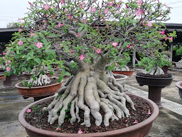 สวนปราณีฟาร์ม นครปฐม PraneeFarmGarden Nakhon Pathom