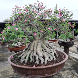 สวนปราณีฟาร์ม นครปฐม PraneeFarmGarden Nakhon Pathom