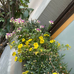 Photo n°5 de l'avis de CL.u fait le 01/08/2021 à 12:15 sur le  Am Platzl à Rothenburg ob der Tauber