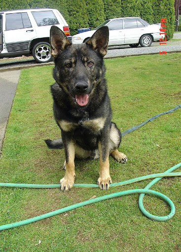 Park «Blueberry Childrens Park», reviews and photos, 18399 Blueberry Ln, Monroe, WA 98272, USA