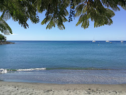 Plage de l'anse Madame'in fotoğrafı çok temiz temizlik seviyesi ile