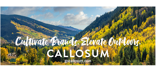 Callosum LLC