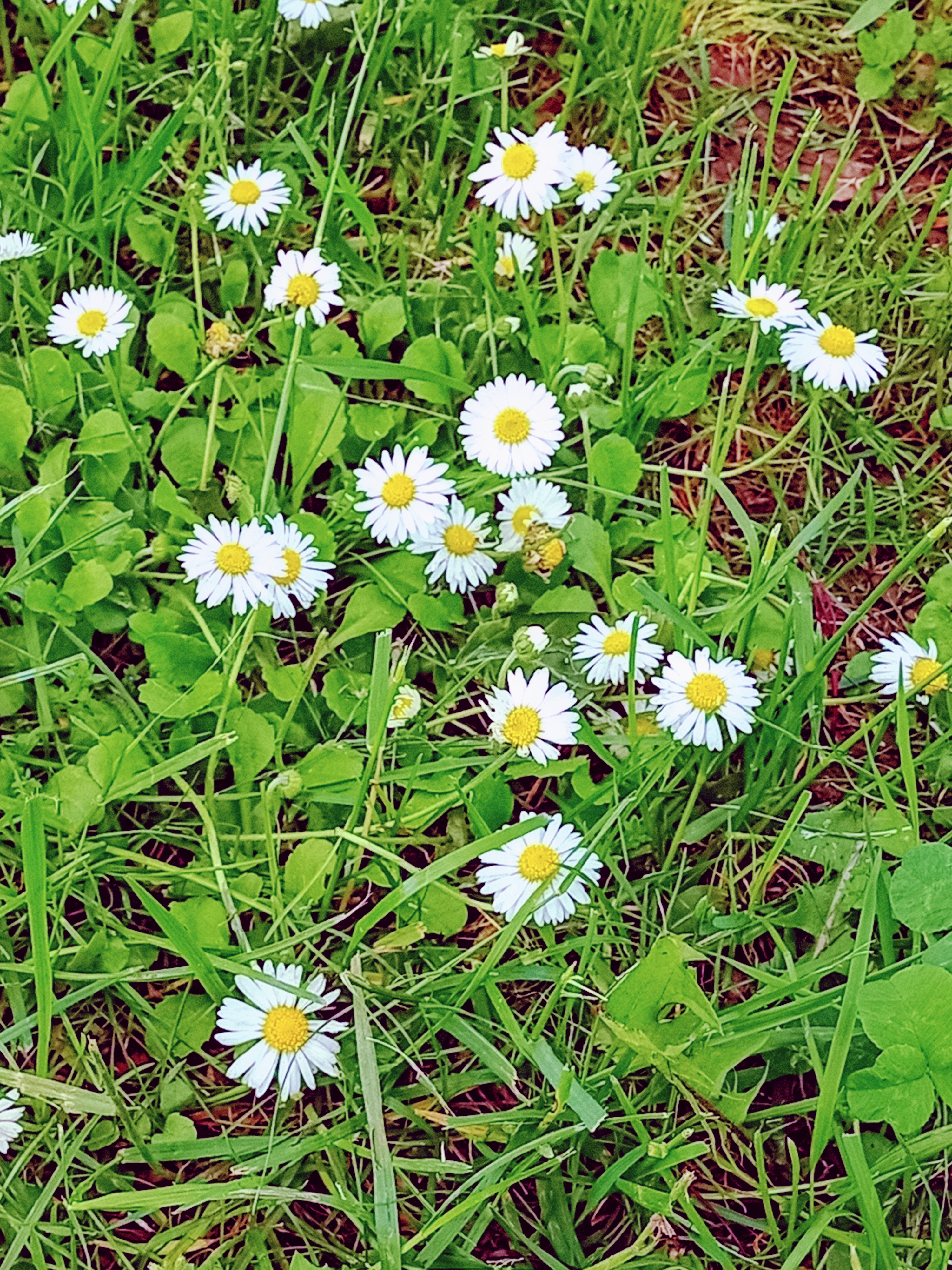 Photo n° 1 de l'avis de Christophe.t fait le 28/05/2021 à 12:58