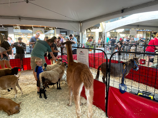 Winery «Landon Winery», reviews and photos, 101 N Kentucky St, McKinney, TX 75069, USA