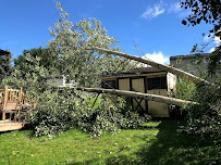 Randav Tree & Landscape - Photo 7 - Car repair in Binghamton, NY, Binghamton